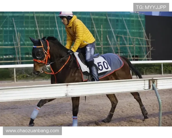 深入了解澳门赛马玩法：从入门到高手的完整操作指南