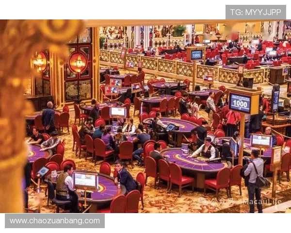 全面解析澳门赌场的著名品牌名称，帮助玩家选择最适合自己的博彩场所