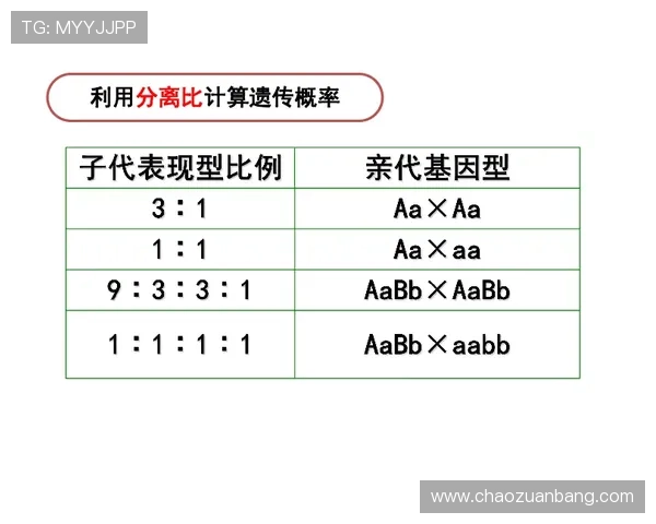 角子机技巧的规律:探索中奖概率背后的规律与科学投注策略